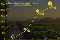 China's huge achievement in ecological protection