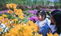 Flowers in full bloom as temperature rises in Changxing, E China