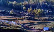 In pics: alpine meadow in Shannxi Province