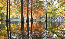 Early winter scenery of Nanjing Yanque Lake