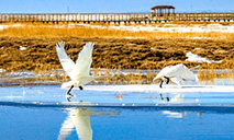 Enchanted winter scenery of Barkol, NW China's Xinjiang in early spring