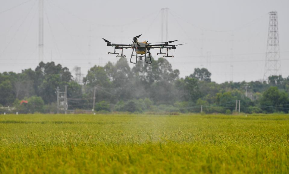 Dongfang City in S China an ideal place to develop seed industry