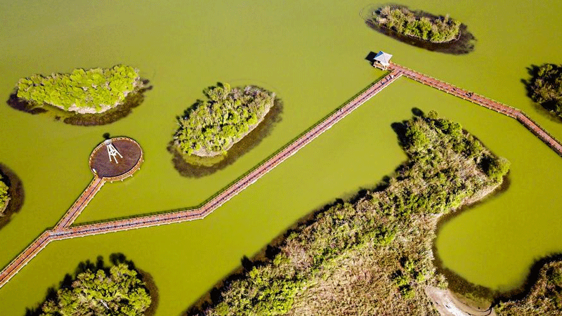 Scenery in Dongying, east China's Shandong