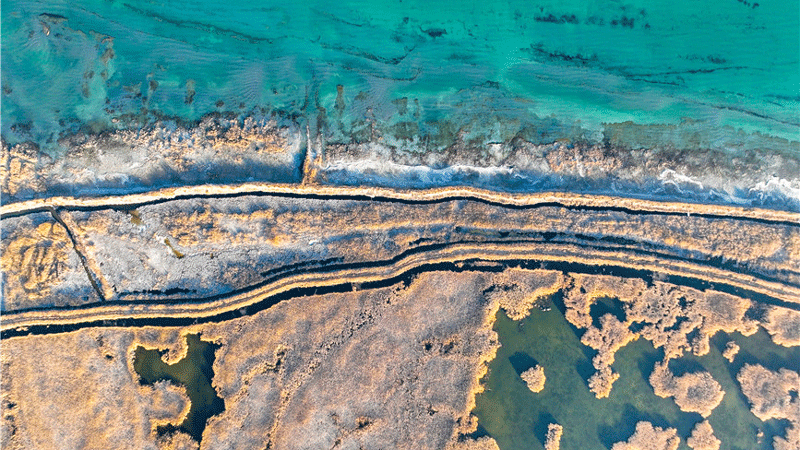 Gorgeous early winter views of Bostan Lake National Wetland Park in China's Xinjiang