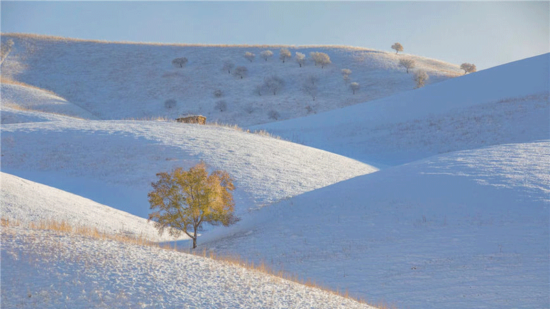 First snow turns 'Apricot Valley' in China's Xinjiang into 'beautiful painting'