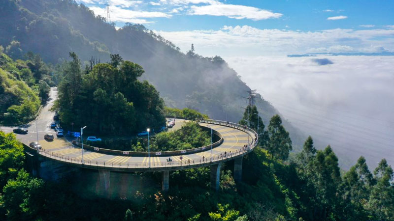 Advection fog on Guling Hill, SE China