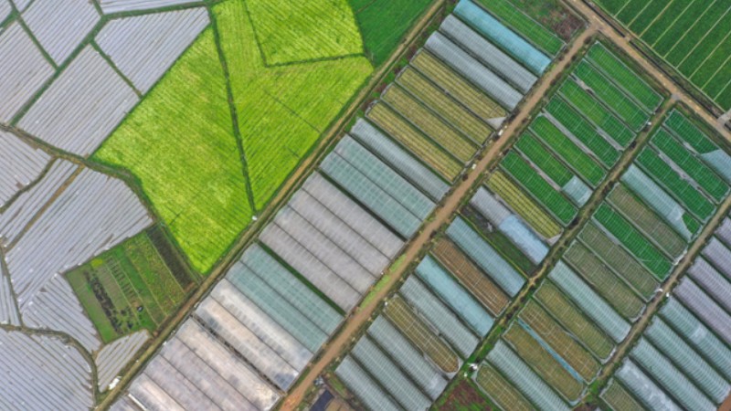 Spring rain refreshes fields in C China’s Hunan