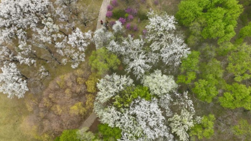 Springtime at Shenyang Expo Garden in NE China