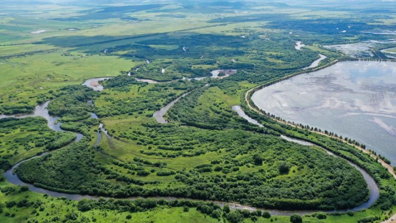 Scenery of wetland in China's Inner Mongolia