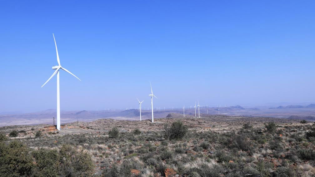 Feature: China's wind power project in S. Africa benefits local community