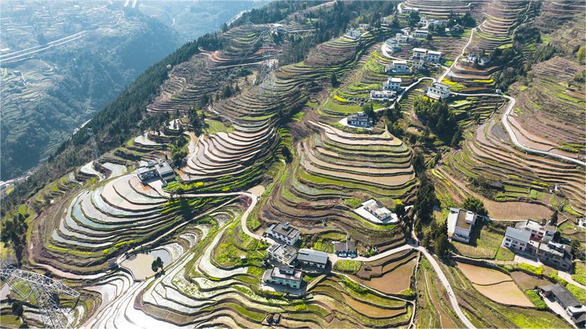 Farmers create vibrant scenes of spring farming in SW China's Sichuan