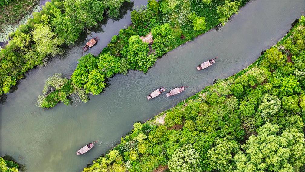 Amazing spring scenery across China