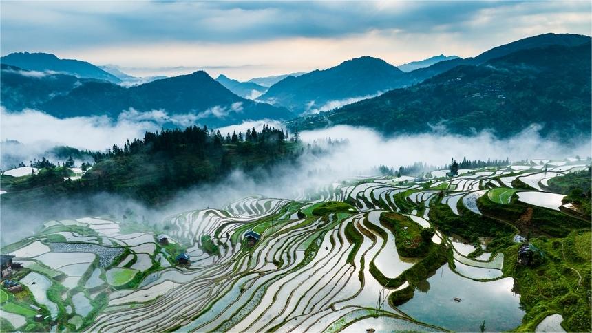 In pics: Spring farming underway in Jiabang terraced fields in SW China's Guizhou