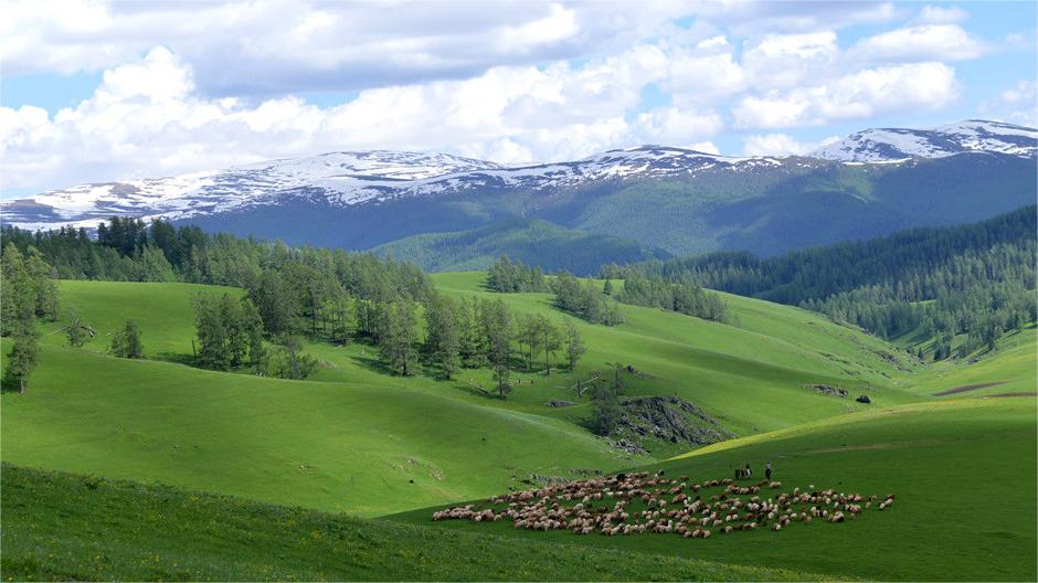 Enchanting early summer scenes in Altay