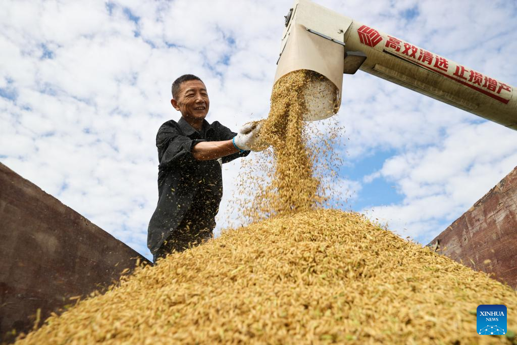 In pics: autumn harvest across China