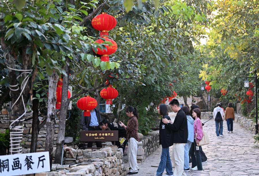 Rural tourism booming with homestay business in N China's Tianjin